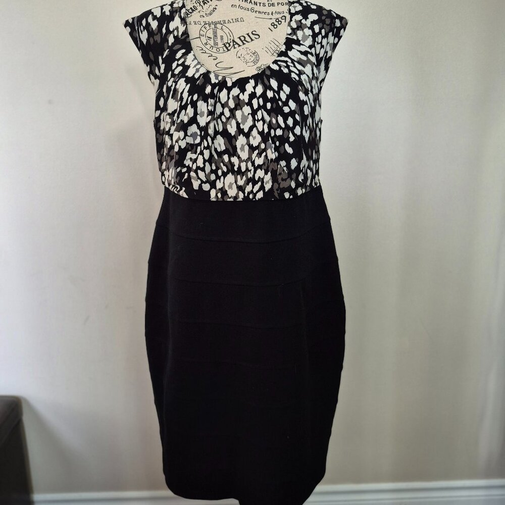 Animal Print Dress